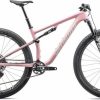 Mountain Bikes * | Premium Specialized Epic Pro Ltd Gloss Desert Rose/Metallic White Silver