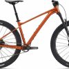 Mountain Bikes * | Special Offers Giant Fathom 29 1 Metallic Black